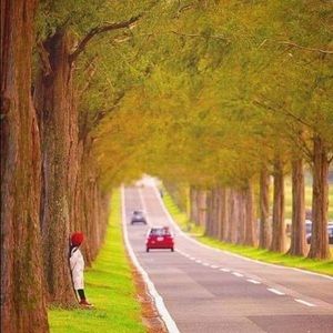 Meet your Posher, Red